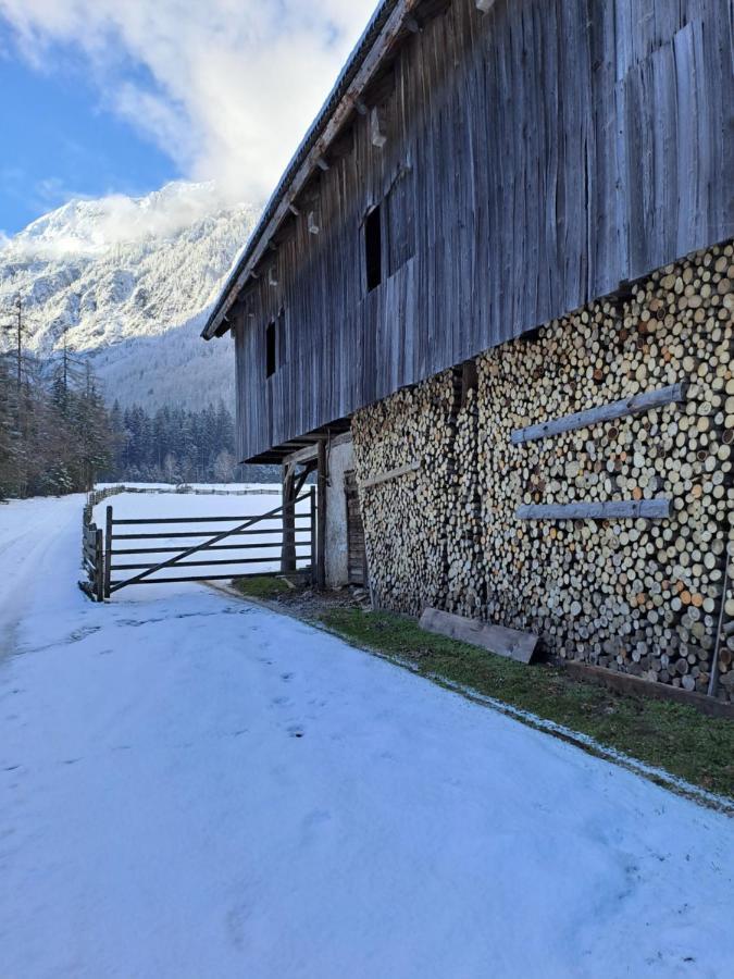 Mala Hisa Leilighet Solčava Eksteriør bilde